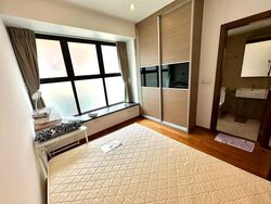 Holland Link (D10), Terrace #593107721